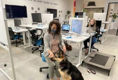 Virtual classroom with students, instructor, and a dog in a modern learning environment.