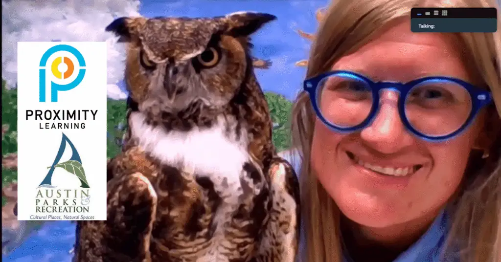 Proximity Learning virtual classroom with educator and owl, showcasing online education technology.