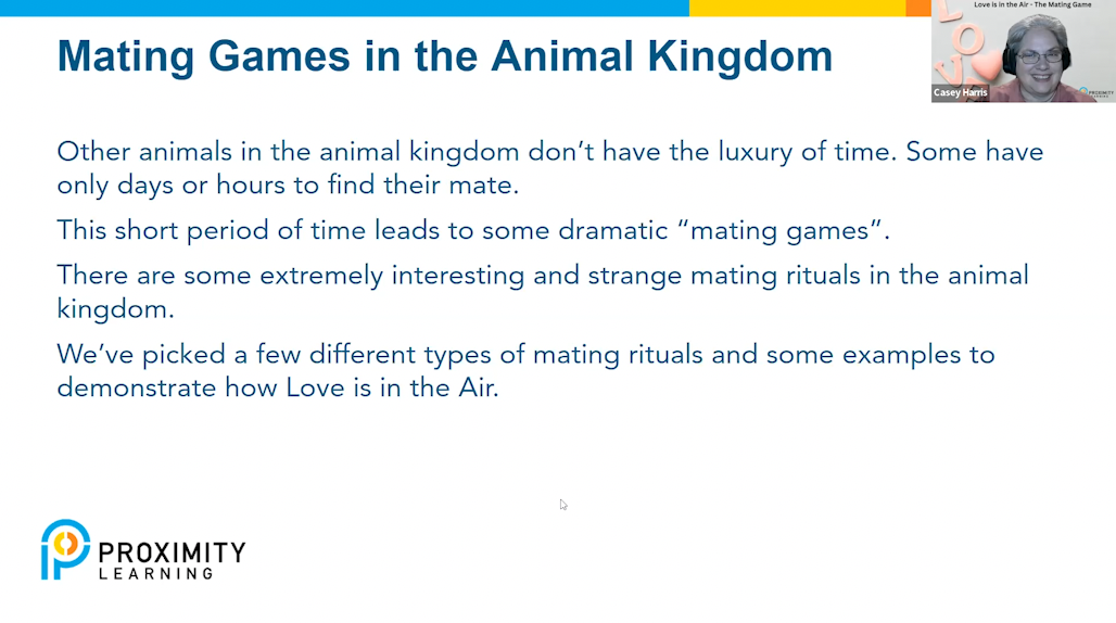 Love is in the air zoology enrichment